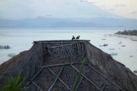 Unser täglicher Wecker um 6 Uhr, das Taubenpärchen auf dem Dach. Sonnenaufgang, Sonnenaufgang, gur, gur, Sonnenaufgang  ...